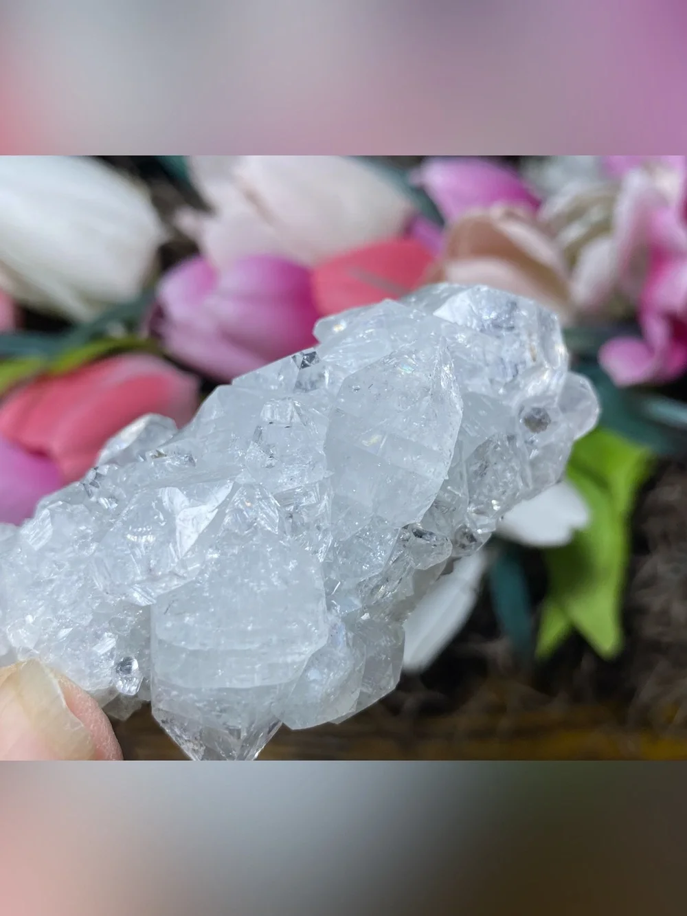 Apophyllite Stalactite Cluster